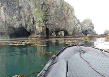 Destino Galápagos